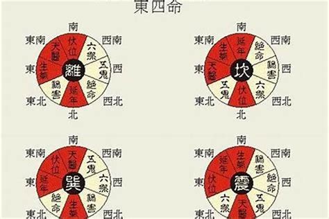 东四命离命人|东四命离命人的总体运势怎幺样